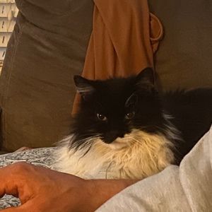 Meet your Posher, Joanne